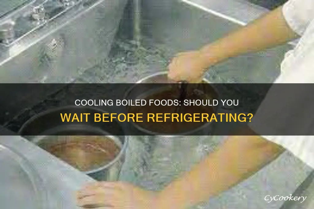 should boiled cool before going in refrigerator