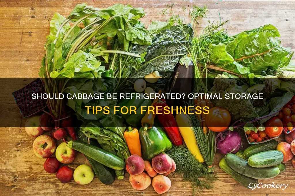 should cabbage be stored in the refrigerator