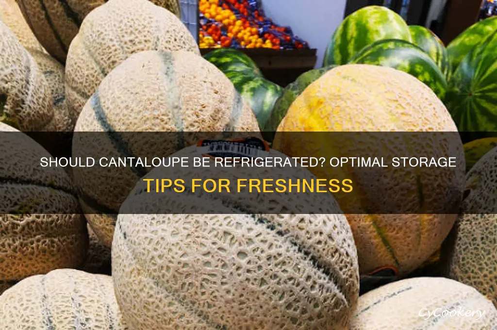 should cantaloupe be kept in the refrigerator