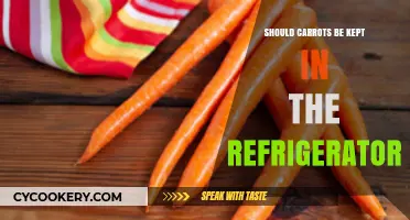 Should Carrots Be Refrigerated? Storage Tips for Freshness and Crunch