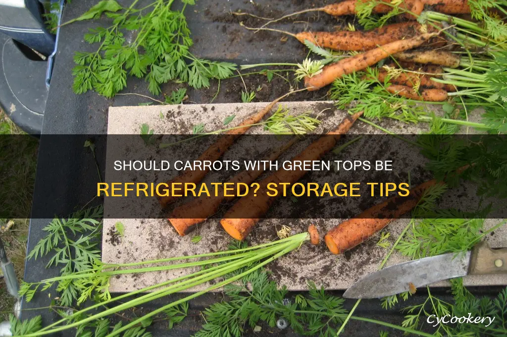 should carrots with green tops be refrigerated