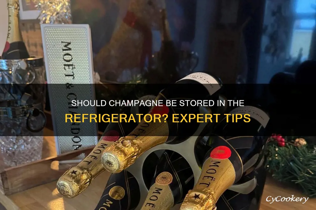 should champagne be stored in the refrigerator