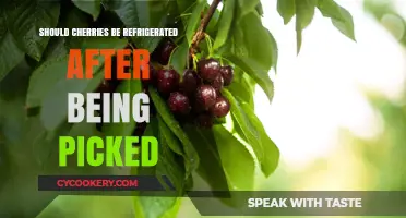 Refrigerate or Not? The Best Way to Store Fresh Cherries