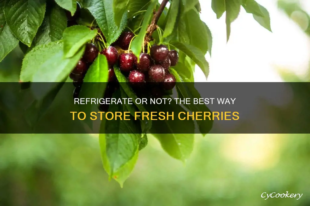 should cherries be refrigerated after being picked