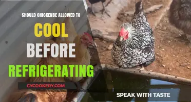 Cooling Chicken Safely: Should You Wait Before Refrigerating?
