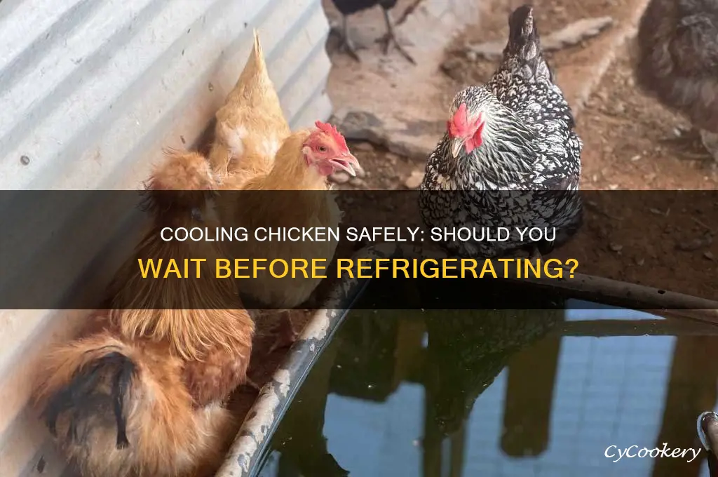should chickenbe allowed to cool before refrigerating