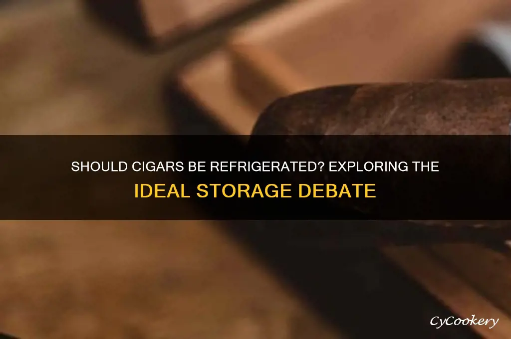 should cigars be kept in the refrigerator