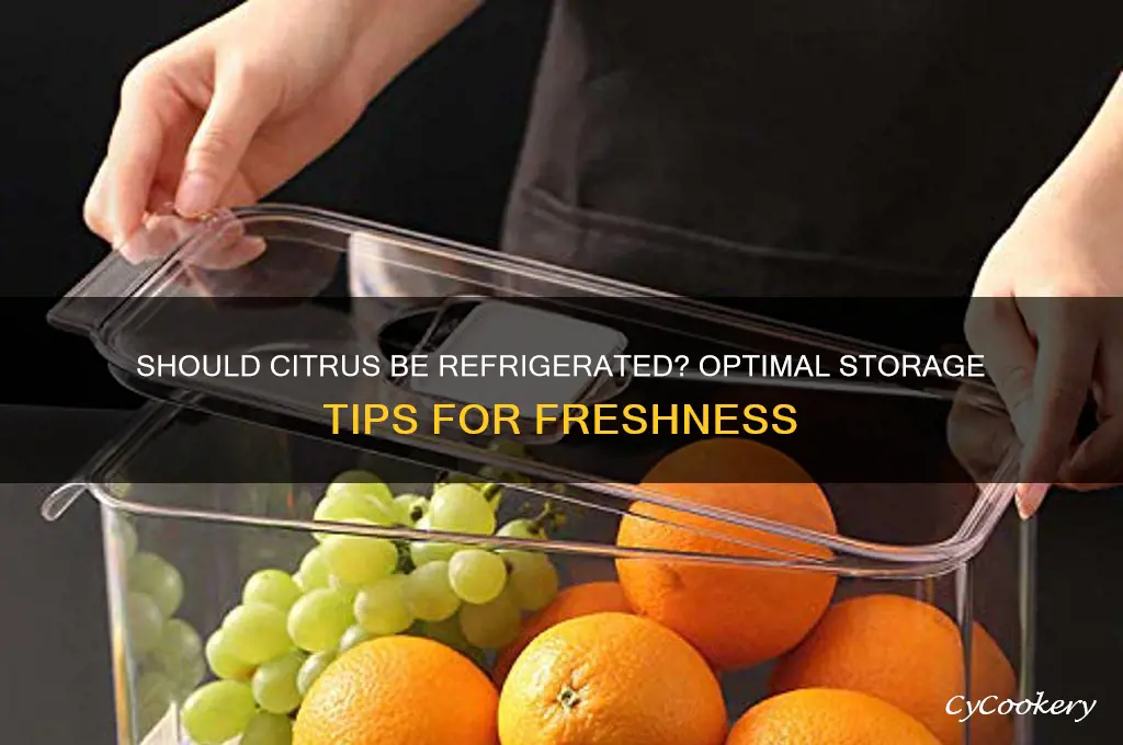 should citrus be stored in the refrigerator