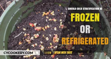 Cold Stratification: Refrigerate or Freeze Seeds for Optimal Germination?