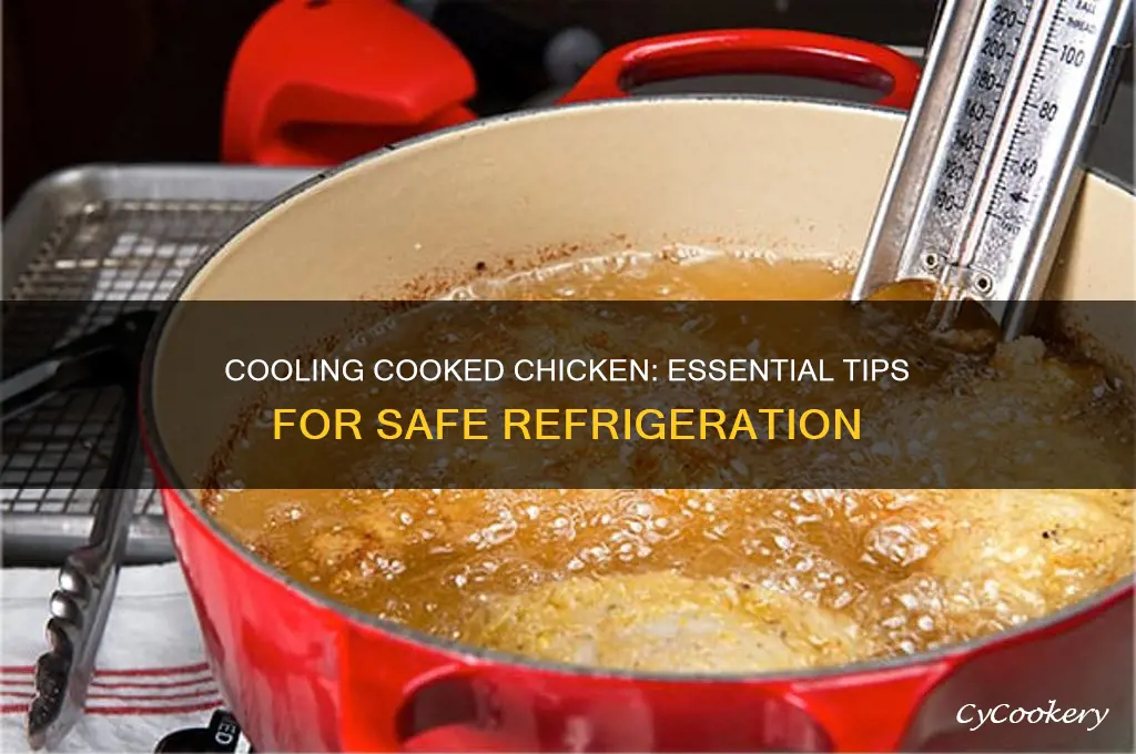 should cooked chicken be cooled before refrigeration