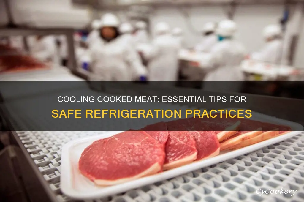 should cooked meat be cooled before refrigerating
