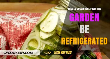 Garden-Fresh Cucumbers: To Refrigerate or Not? Expert Tips Inside
