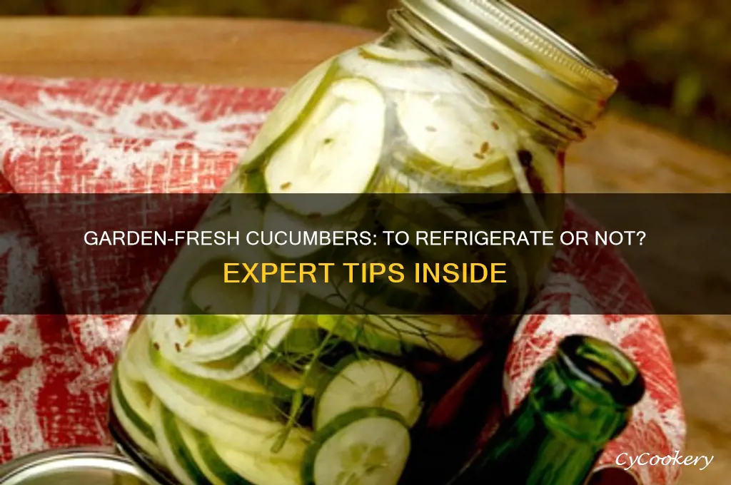 should cucumbers from the garden be refrigerated