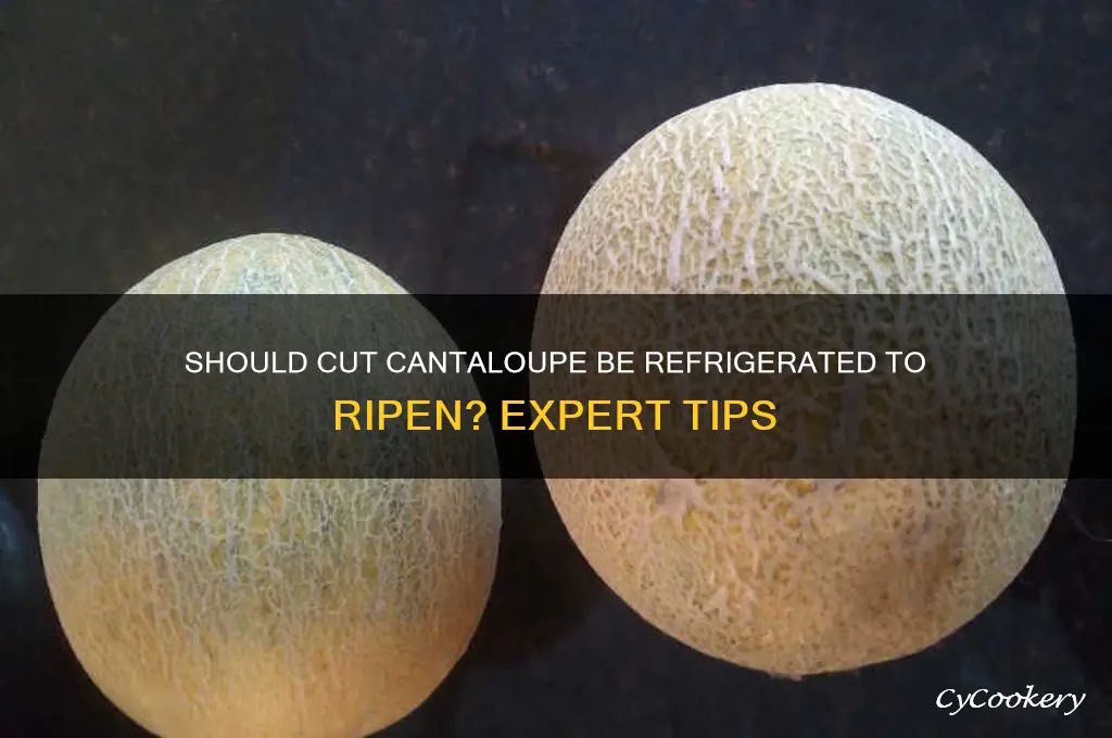 should cut cantalope be refrigerated to ripen