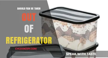 Should Fish Be Taken Out of the Refrigerator? A Guide