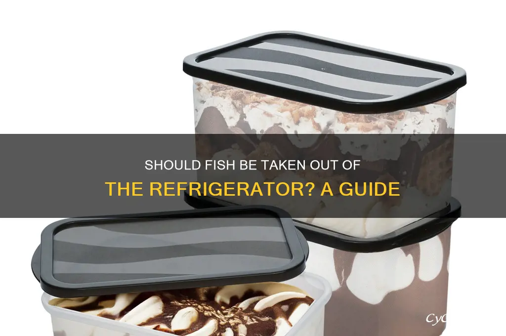 should fish be taken out of refrigerator