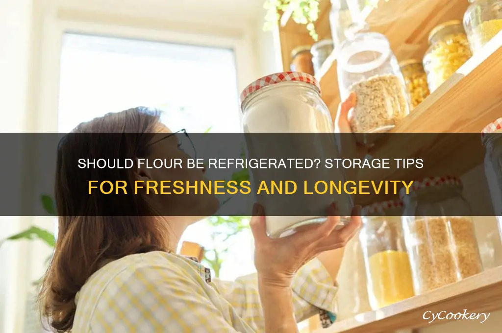 should flour be stored in the refrigerator