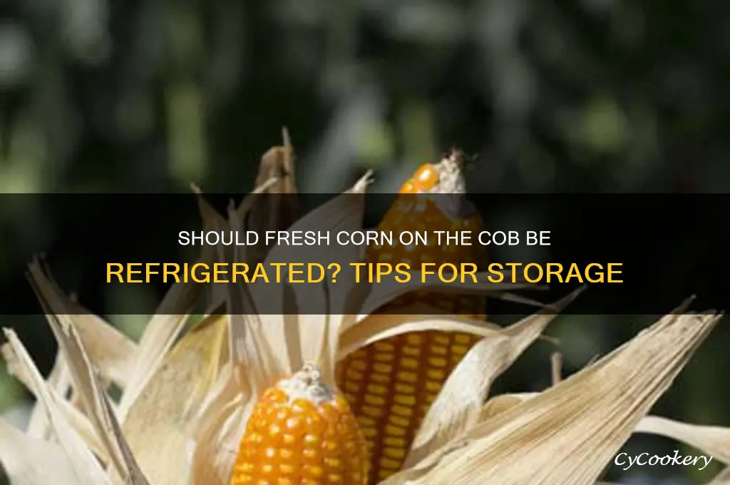 should fresh corn on cob be refrigerated