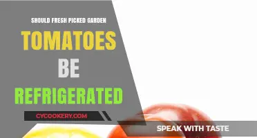 Refrigerate or Not? The Truth About Fresh-Picked Garden Tomatoes