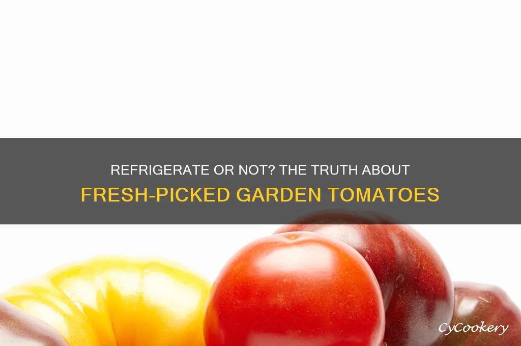 should fresh picked garden tomatoes be refrigerated