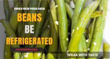 Should Fresh Picked Green Beans Be Refrigerated? Expert Tips