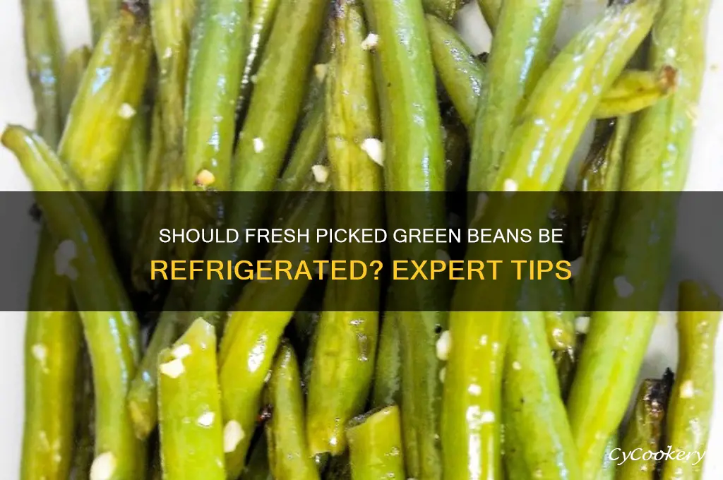 should fresh picked green beans be refrigerated