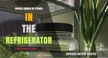 Should Ginger Be Refrigerated? Optimal Storage Tips for Freshness