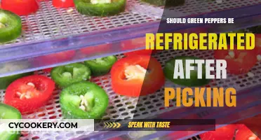 Should Green Peppers Be Refrigerated After Picking? A Freshness Guide
