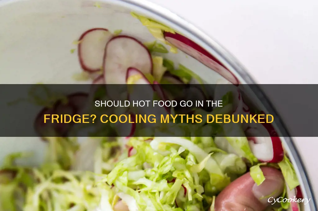 should hot food be put in refrigerator