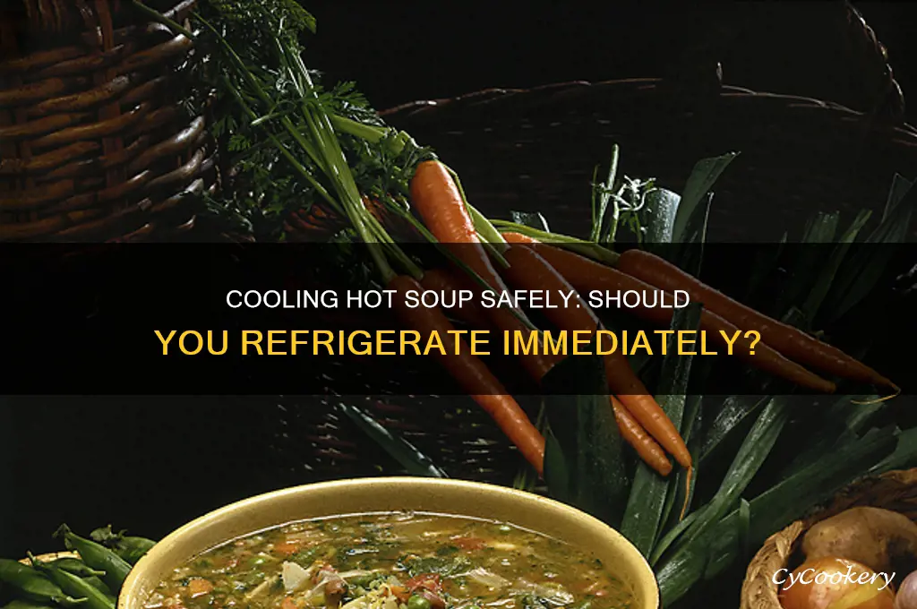 should hot soup be cooled before refrigerating