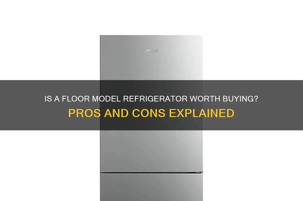 should i buy a floor model refrigerator
