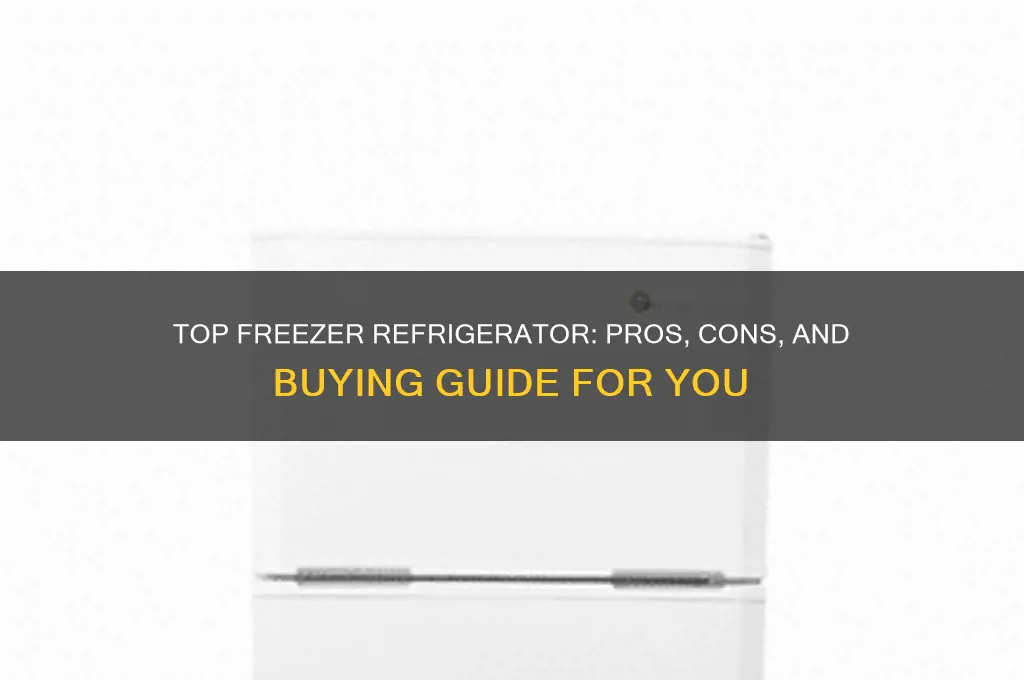 should i buy a top freezer refrigerator
