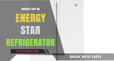 Energy Star Refrigerator: Is It Worth the Investment for Your Home?