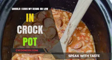Slow-Cooking Beans: Low Heat Crock Pot Tips for Perfect Results