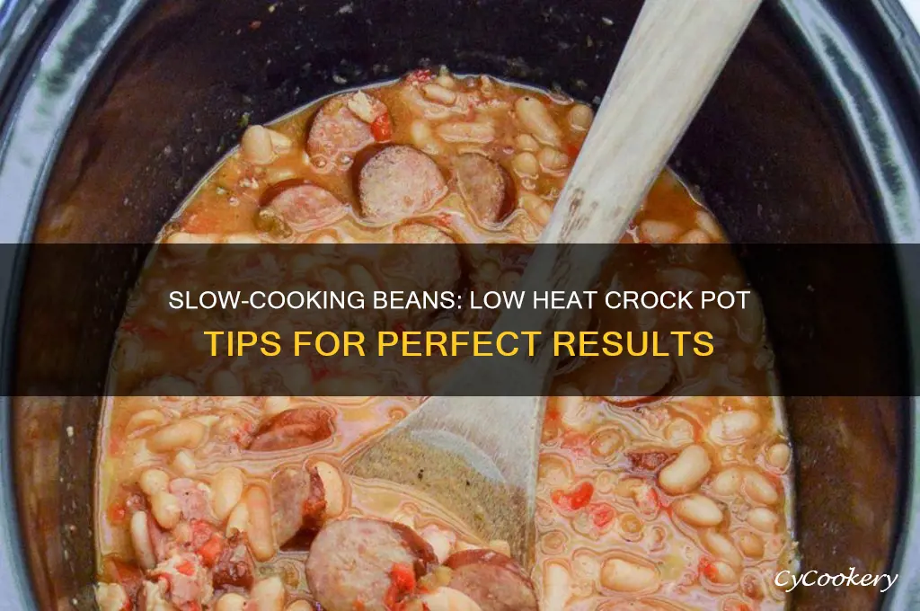 should I cook my beans on low in crock pot