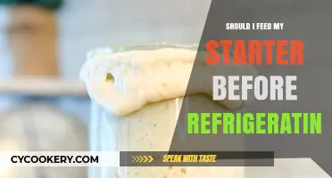 Should You Feed Your Sourdough Starter Before Refrigerating? Tips & Best Practices