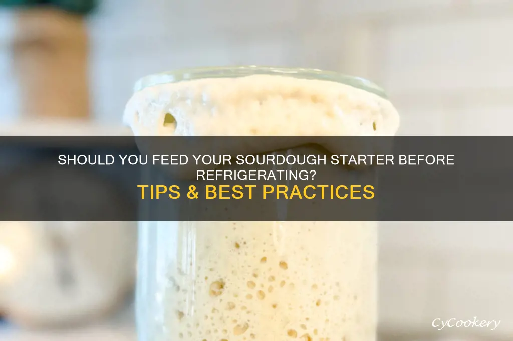 should i feed my starter before refrigerating