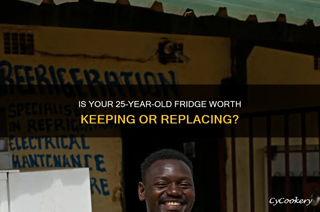 should i get 25 year old refrigerator