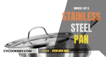 Stainless Steel Pan: Worth the Investment?