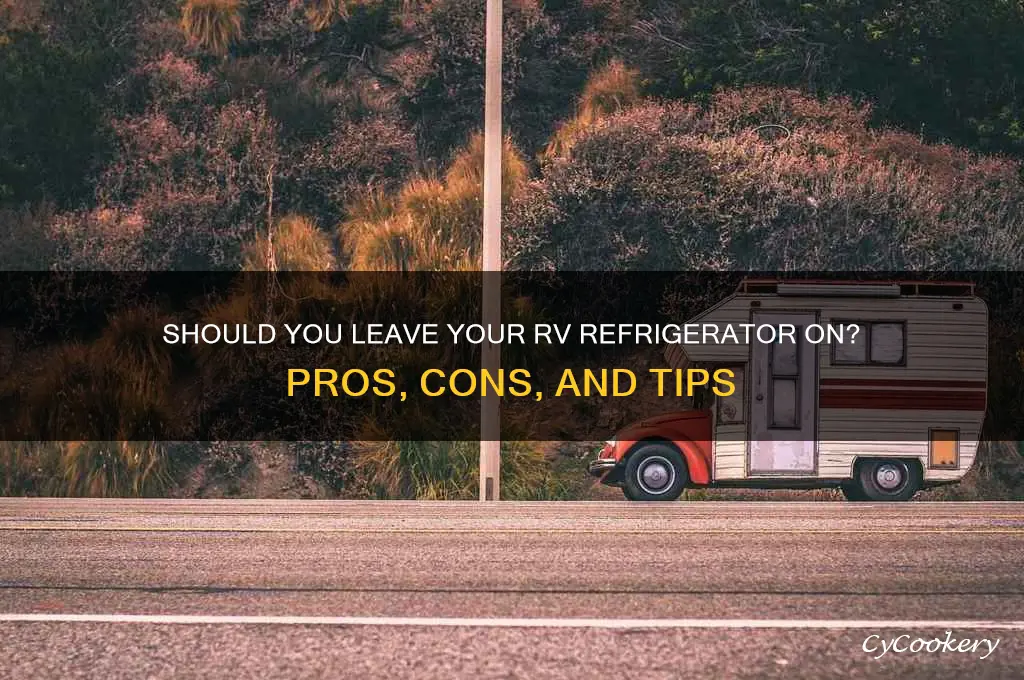should i leave my rv refrigerator on
