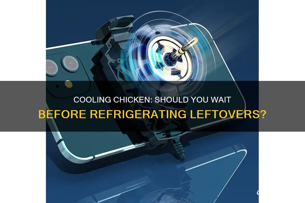 should i let chicken cool before refrigerating