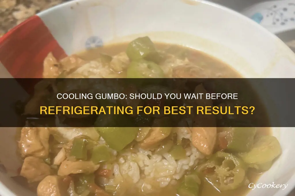 should i let gumbo cool before refrigerating