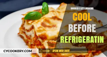 Cooling Lasagna: Should You Wait Before Refrigerating Leftovers?