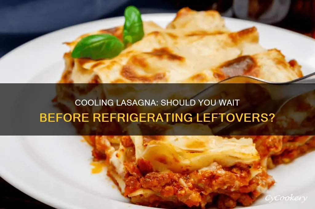 should i let lasagna cool before refrigerating