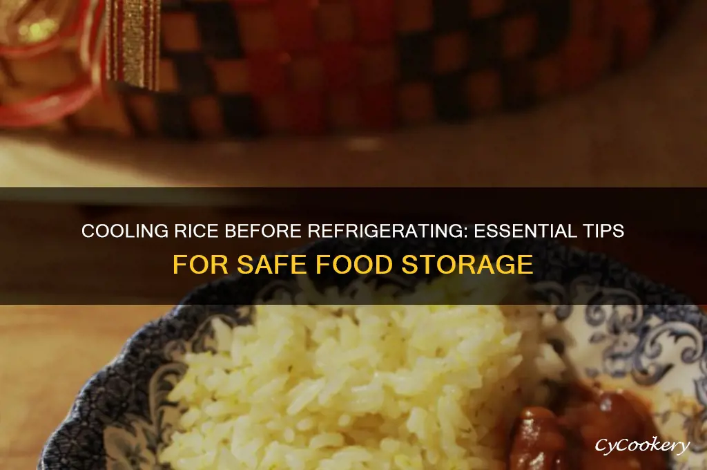 should i let rice cool before refrigerating