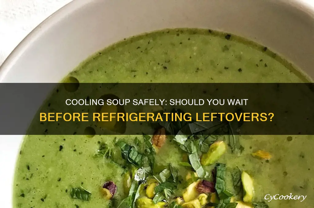 should i let soup cool before refrigerating
