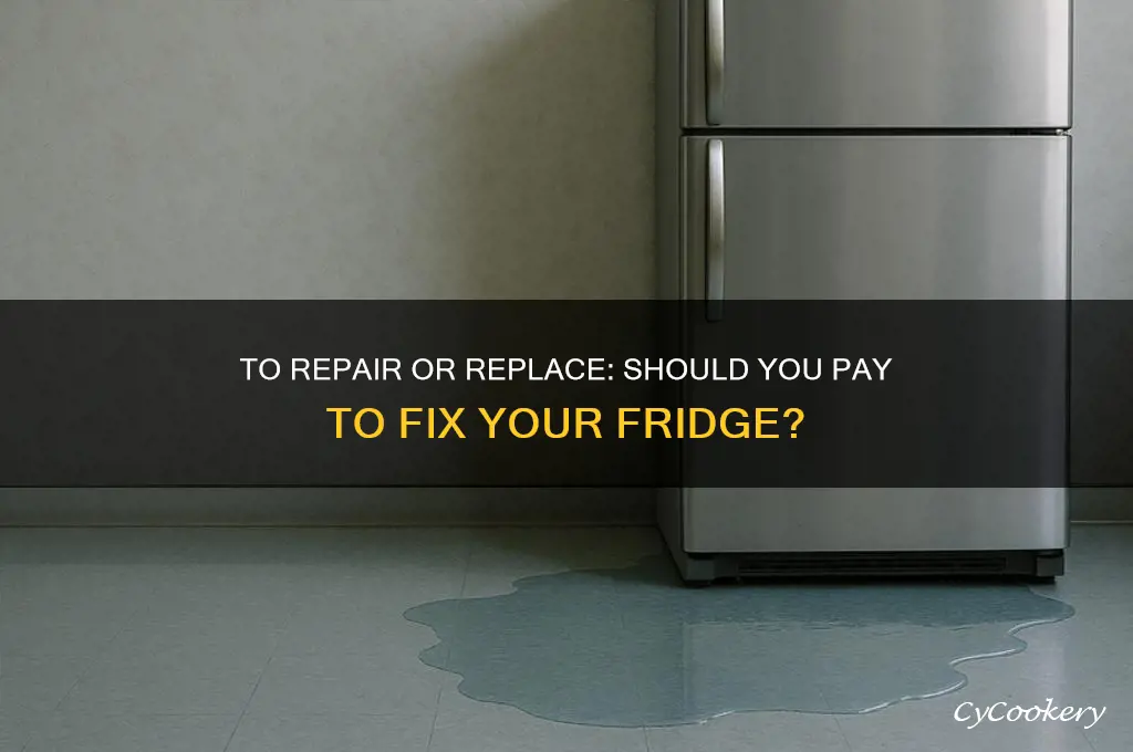 should i pay to repair my refrigerator