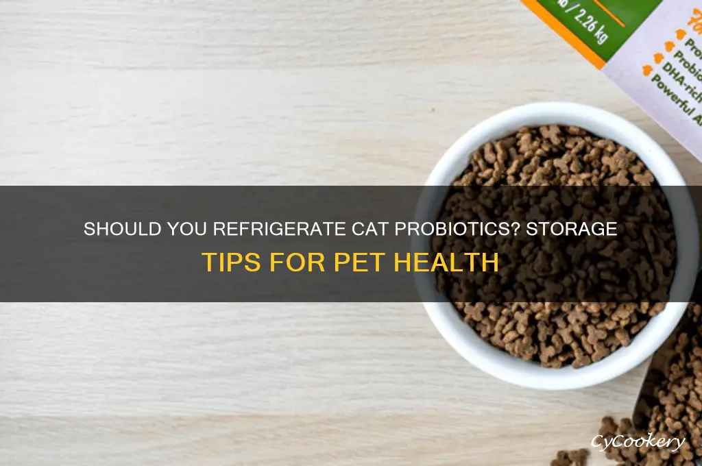 should i put cats probiotic in refrigerator