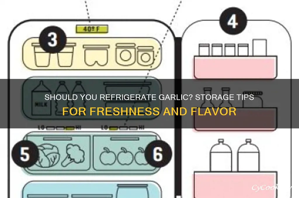 should i put garlic in the refrigerator