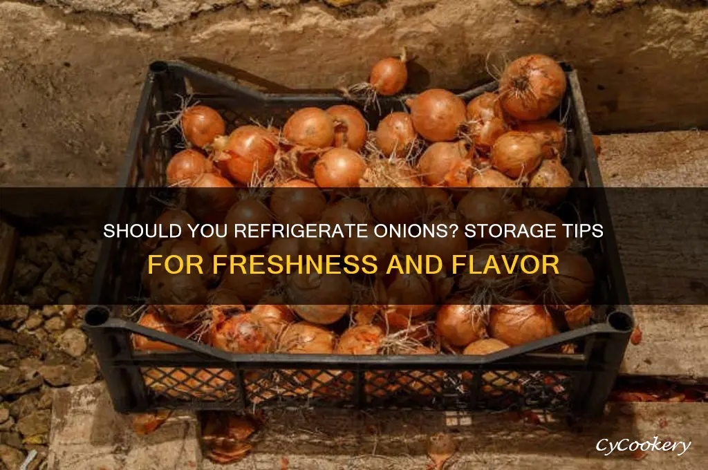 should i put onions in the refrigerator